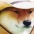 :doge_texan: