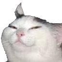 :smugcat: