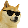 :doge_dance: