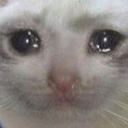 sad_cat